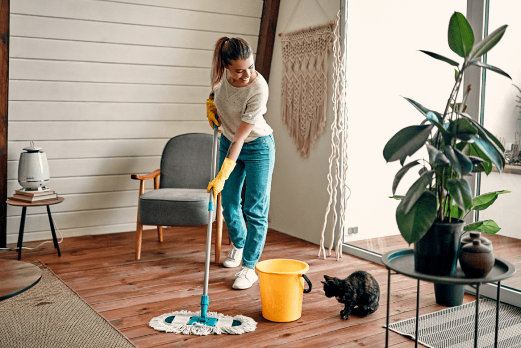 house Cleaning Services Auckland